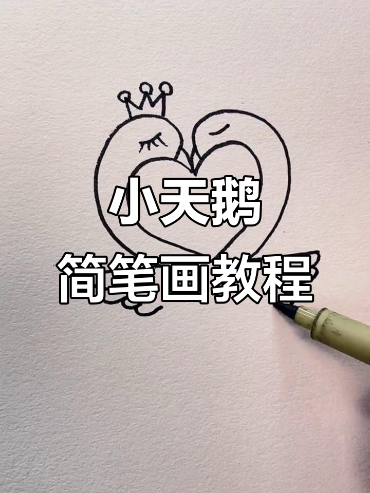 轻松学画可爱小天鹅,简单步骤教你画出美丽羽毛