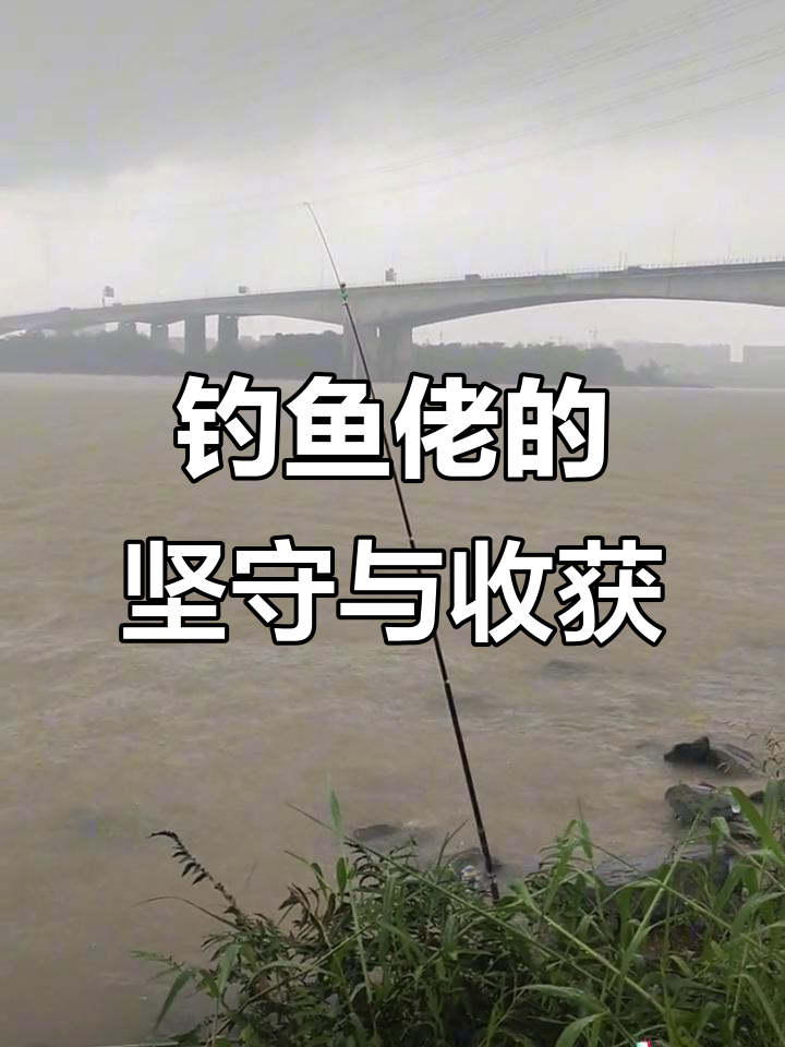 钓鱼佬的日常:一整天守在水边,空手而归也不遗憾