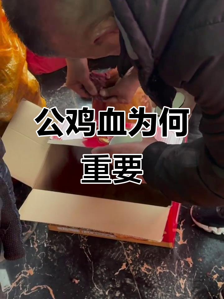 结婚时公鸡血到底有啥用?