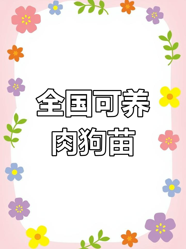 全国各地适宜养殖肉狗苗,创业机会来袭