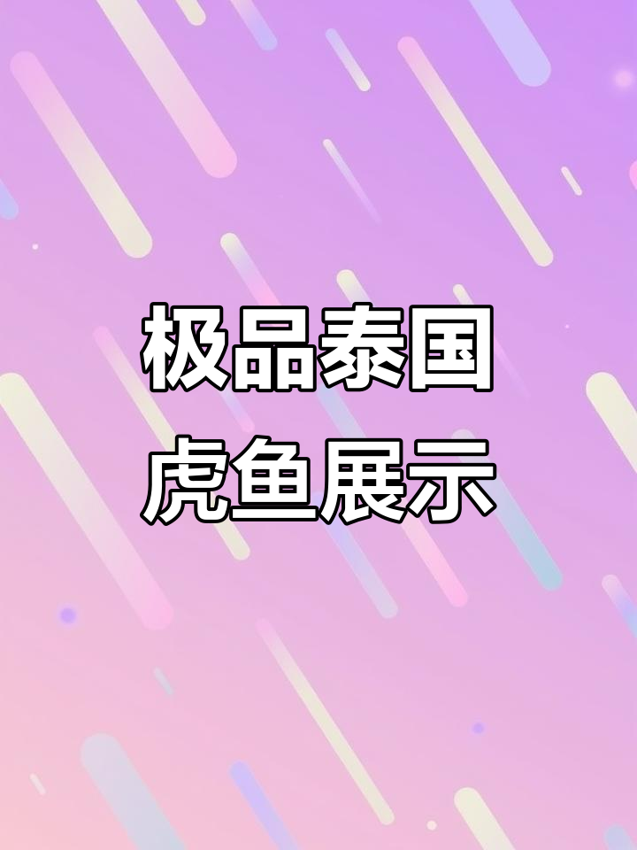 泰国虎鱼极品展示，苏虎、泰虎红龙等一应俱全