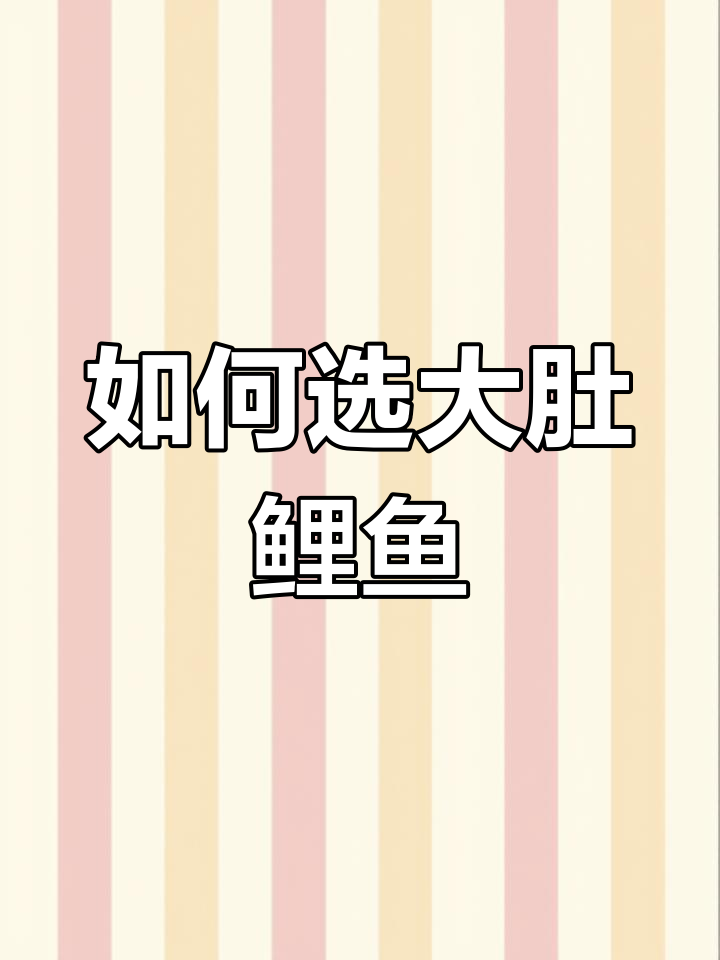鲤鱼选购技巧:如何挑选肉质鲜嫩的公母鲤鱼