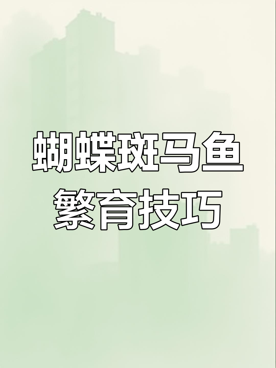 翡翠蝶翼斑马繁殖全攻略:从缸到篮,轻松搞定