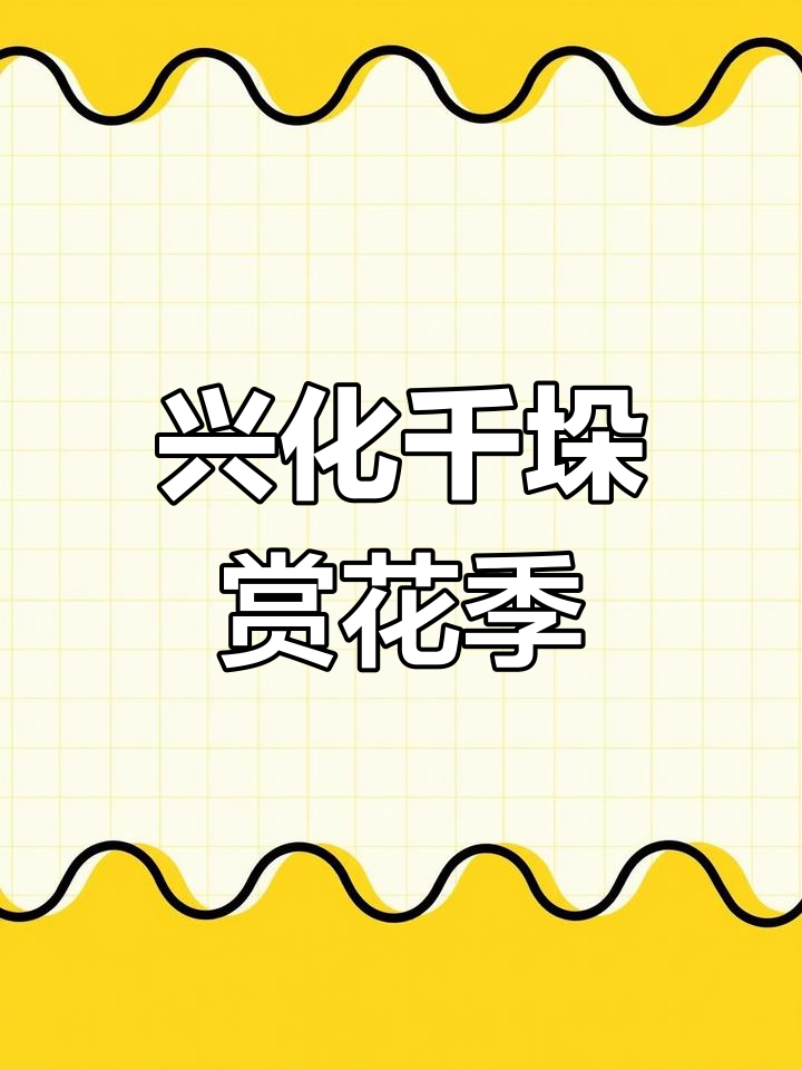 兴化千垛景区油菜花盛开,夜间演出不容错过