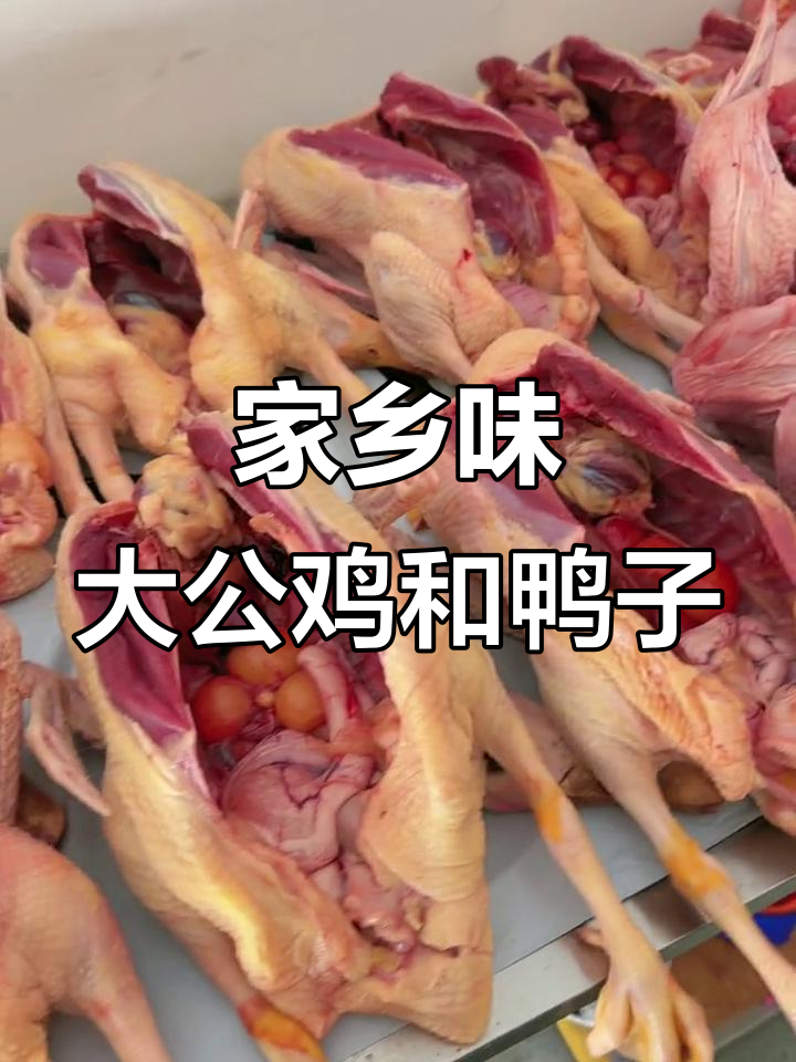 农家土鸡与老鸭,夏日炖汤必备美味