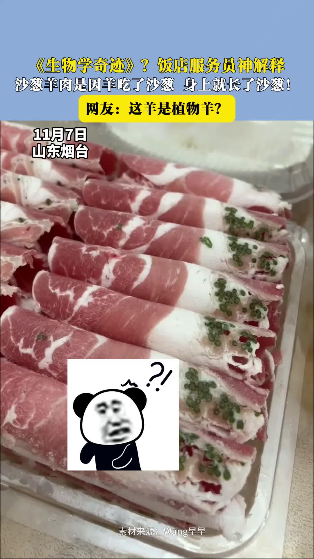 《生物学奇迹》？饭店服务员神解释 沙葱羊肉是因羊吃了沙葱