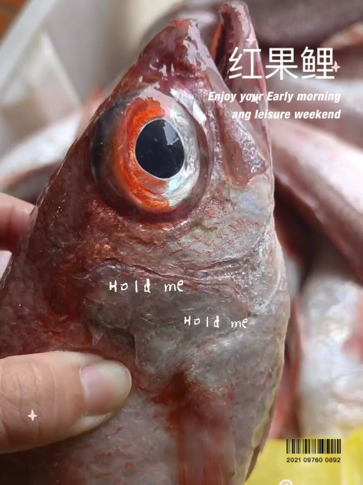 红果鲤你很少吃到的鱼,味道很哇撒 舟山海鲜