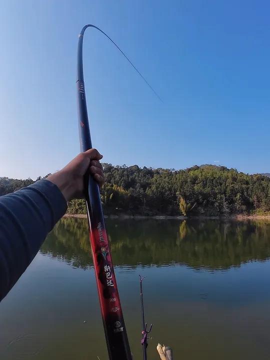 大青鱼搞偷袭,水库守巨大物!