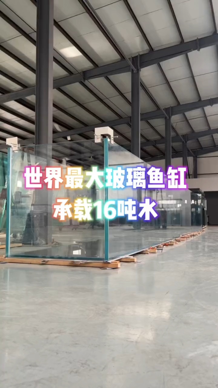 世界最大玻璃鱼缸