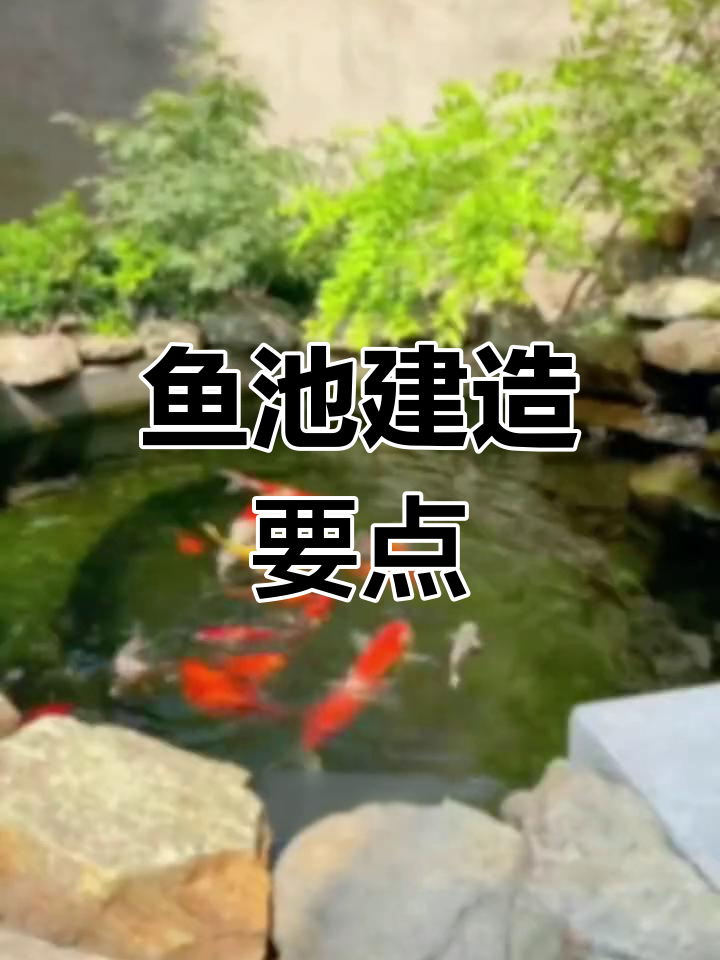 自建庭院鱼池注意事项全解析