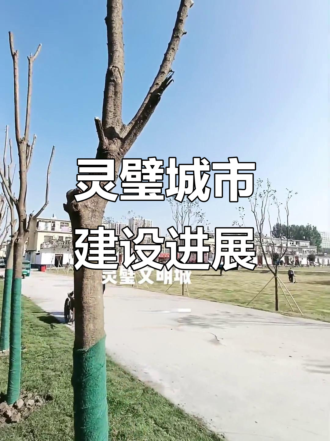 灵璧公园与光明菜场焕新,工人辛苦建设美丽城市