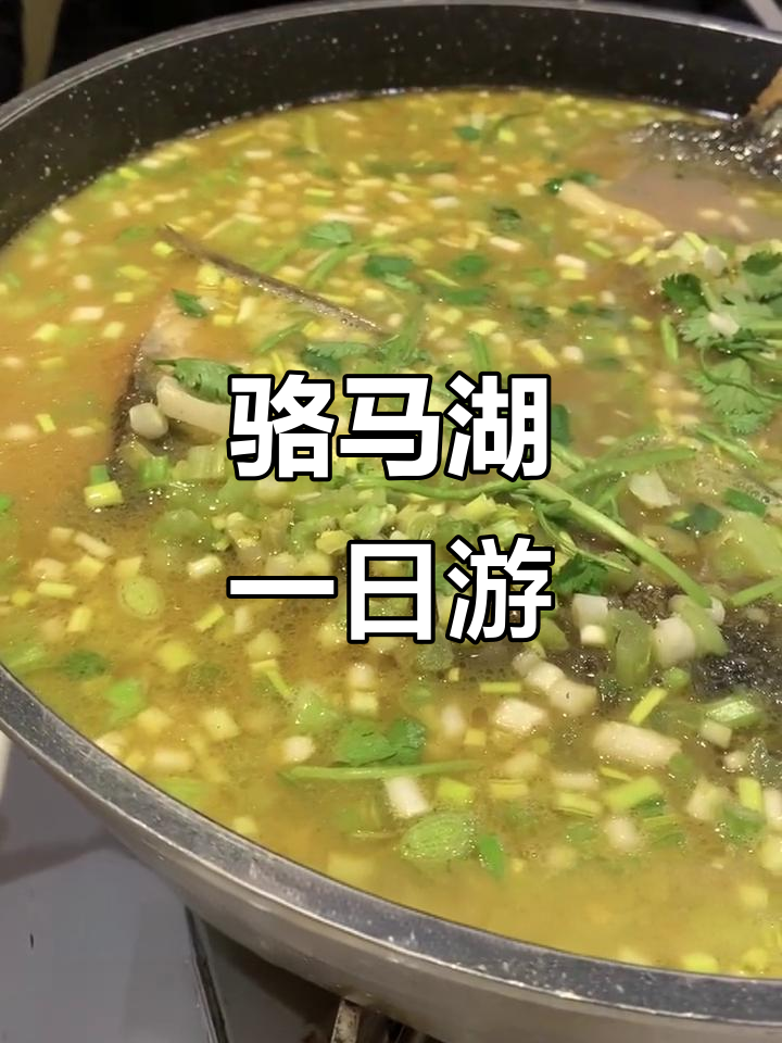 宿迁骆马湖一日游:沙雕、鱼头泡饭与油条的完美搭配