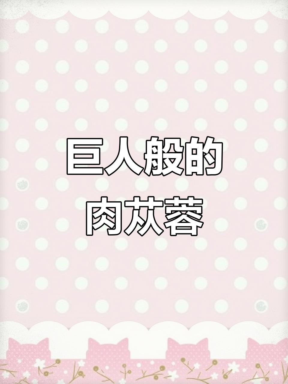 内蒙古沙漠人参:比人还高的肉苁蓉,男性滋补必备