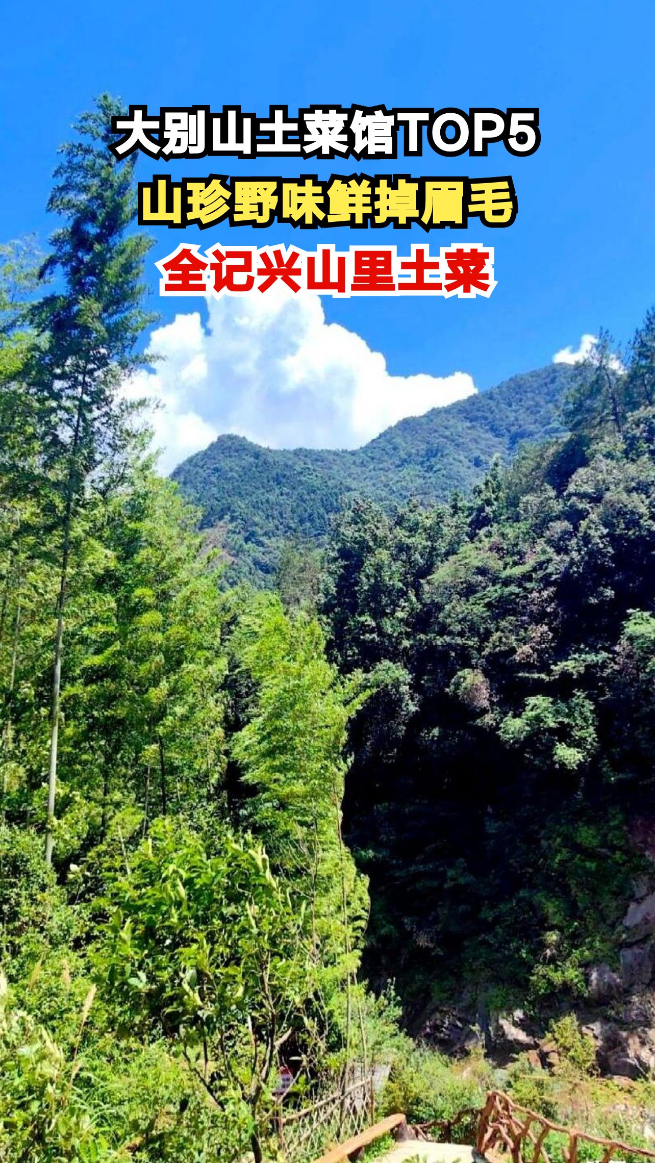 合肥这家土菜馆把大别山搬上餐桌,食客直呼鲜掉眉毛!