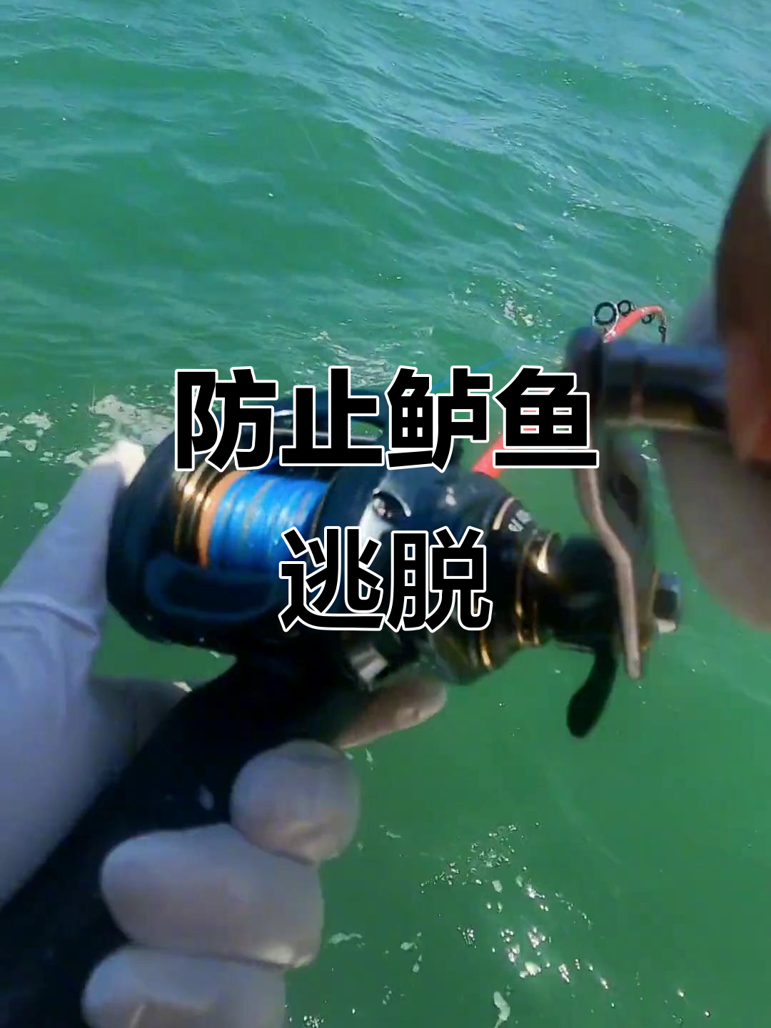 鲈鱼洗腮是脱钩大忌,掌握技巧避免跑鱼!