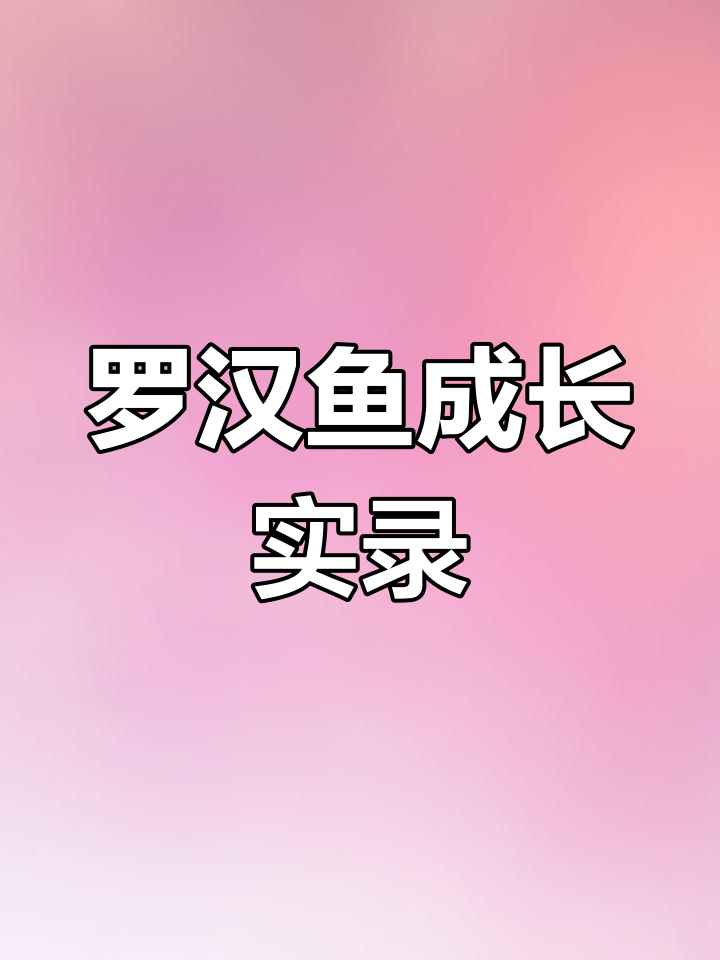 火凤凰罗汉鱼成长全纪录,个性十足的蜕变过程