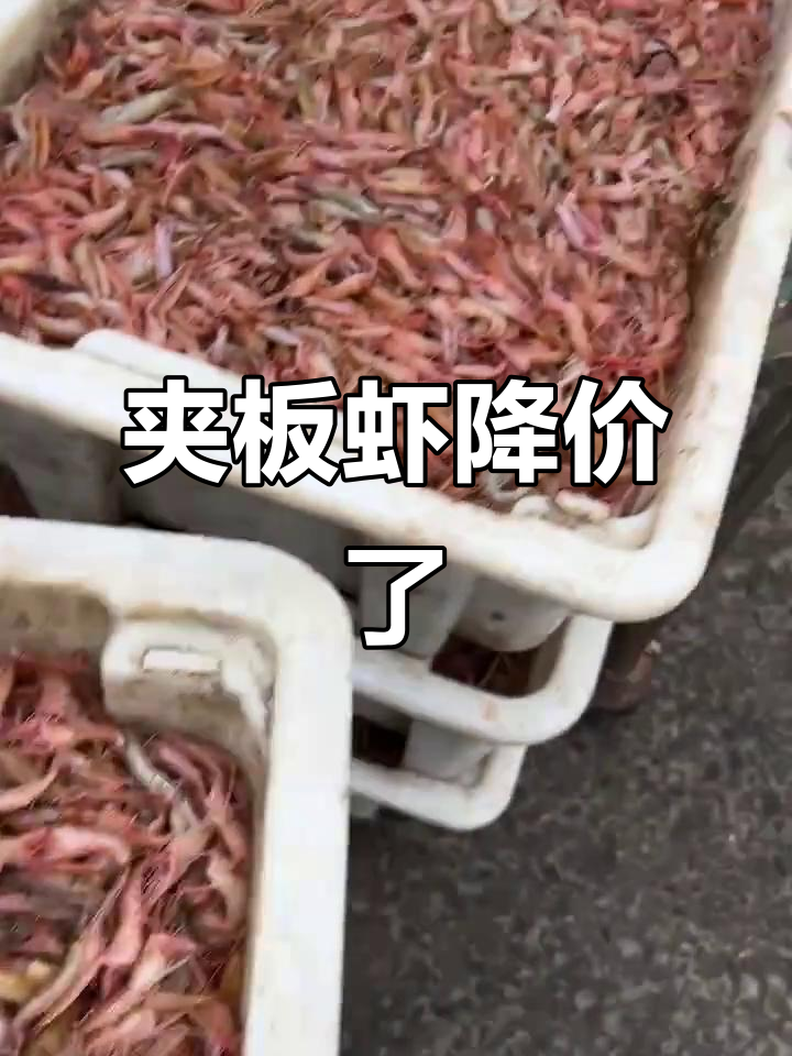 夹板虾价格大降,昨天15元2斤,今天更便宜了
