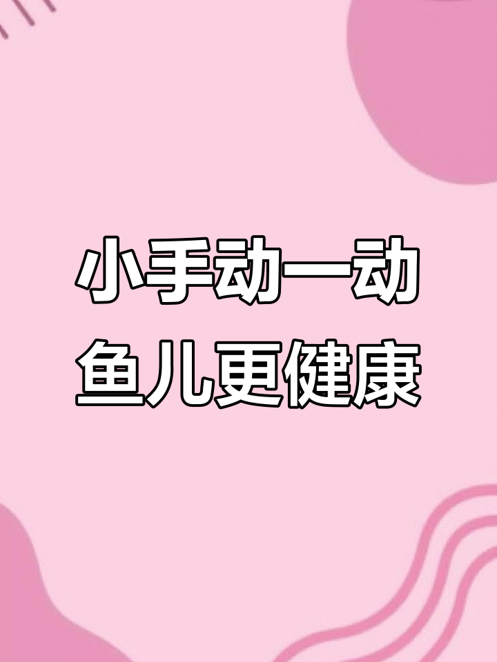 亲手帮助鱼妈妈排卵,温馨孵化爱情结晶