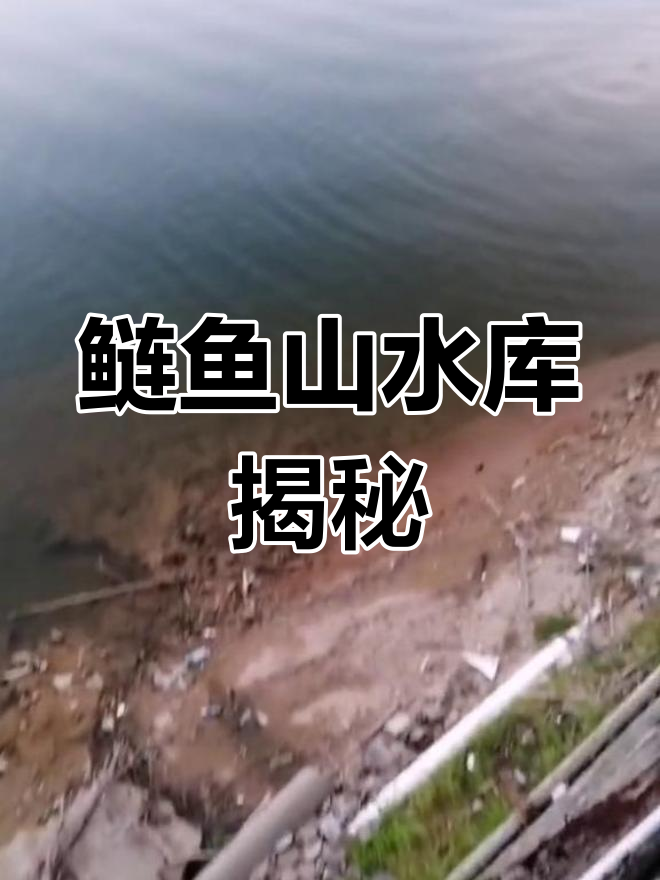 鲢鱼山水库的秘密:为什么鱼儿长得快?