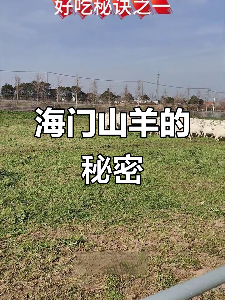 海门山羊肉质鲜美，养殖四化秘诀大揭秘