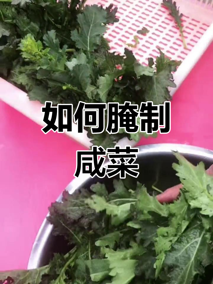 腌腊菜制作全攻略,教你如何保存更长时间