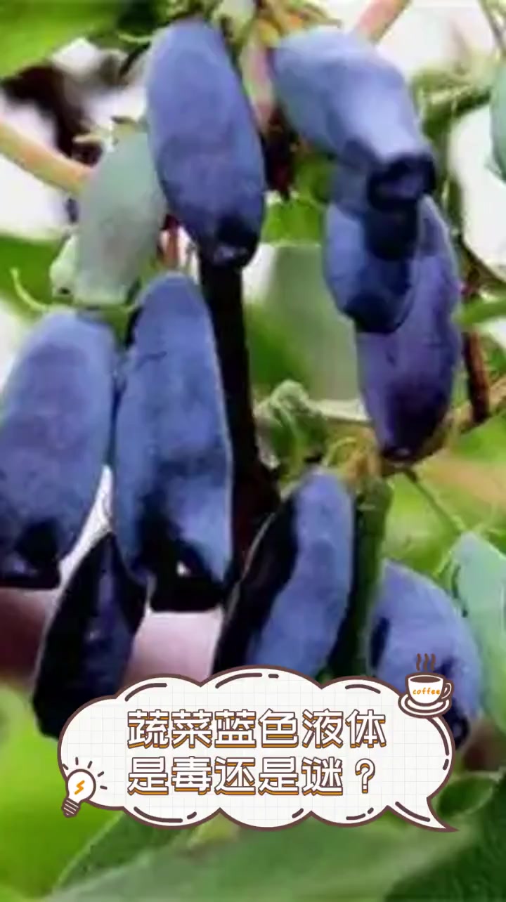 蔬菜蓝色液体,是毒还是谜?