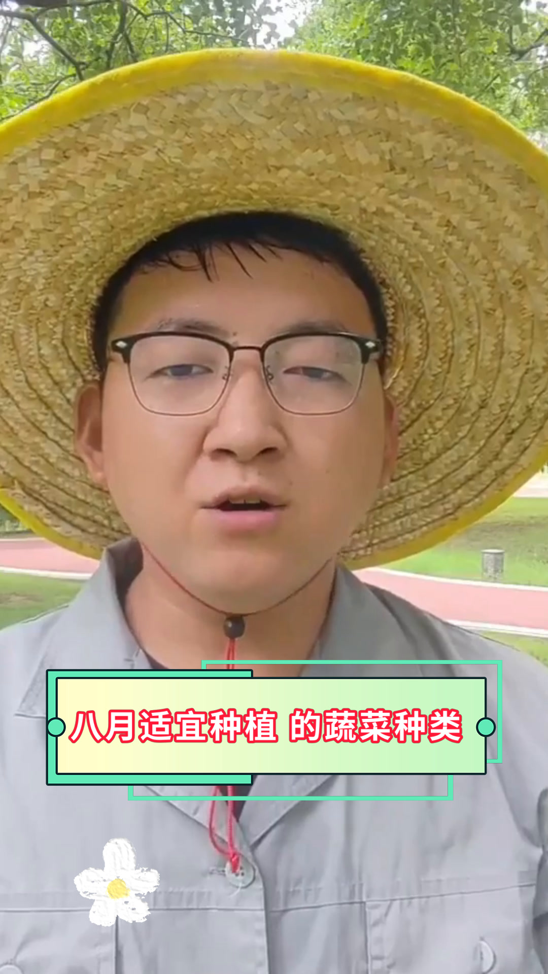 八月适宜种植 的蔬菜种类