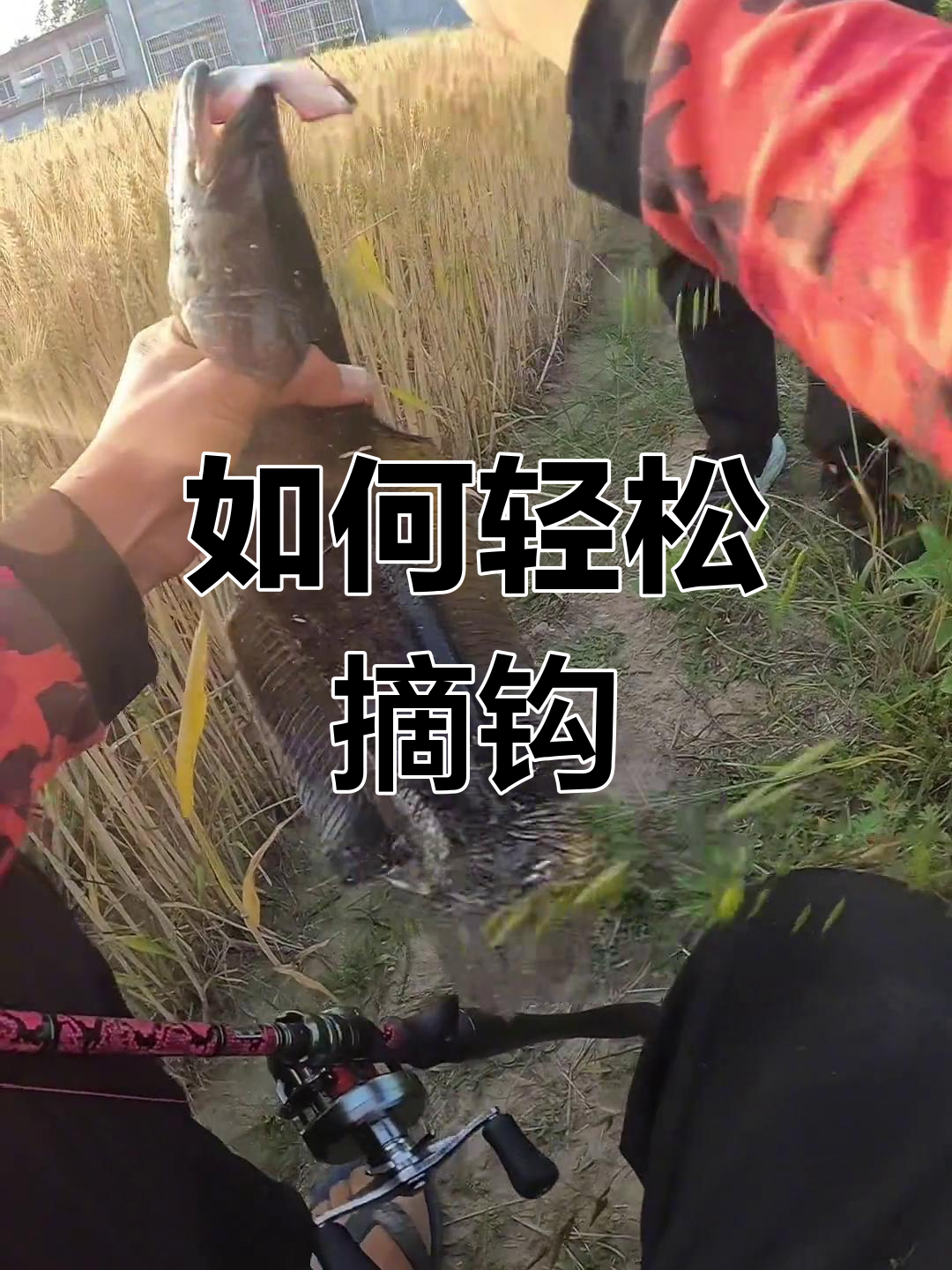 徒手摘钩技巧大揭秘,避免黑鱼锋利牙齿伤害