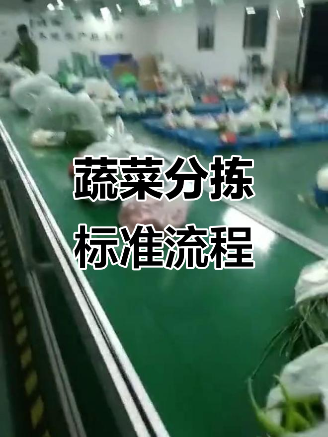 蔬菜配送标准化分拣流程揭秘,夜风中的坚持与怒愤