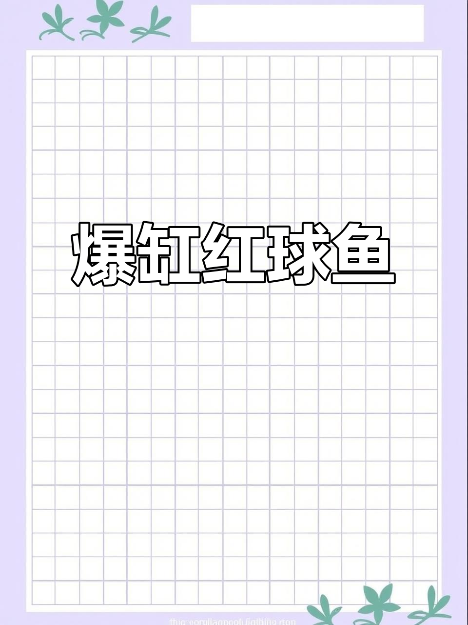 红球鱼疯狂繁殖，家里缸都快装不下了！比孔雀还猛！