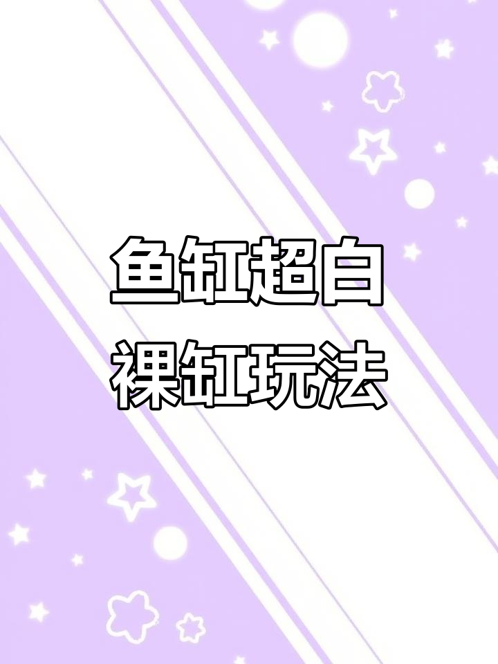 超白裸缸造景全攻略,简单又美观!