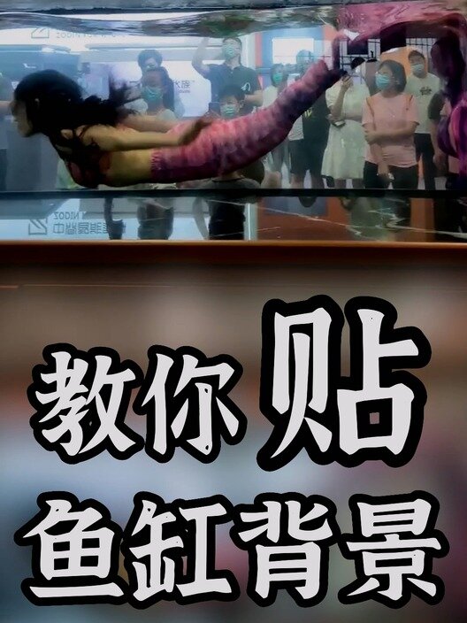 小洁教你——贴鱼缸壁纸