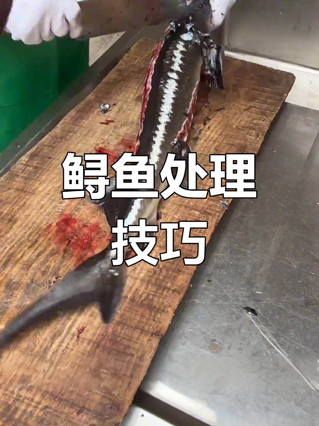 十年经验,轻松去腥,鲟鱼处理秘诀大公开