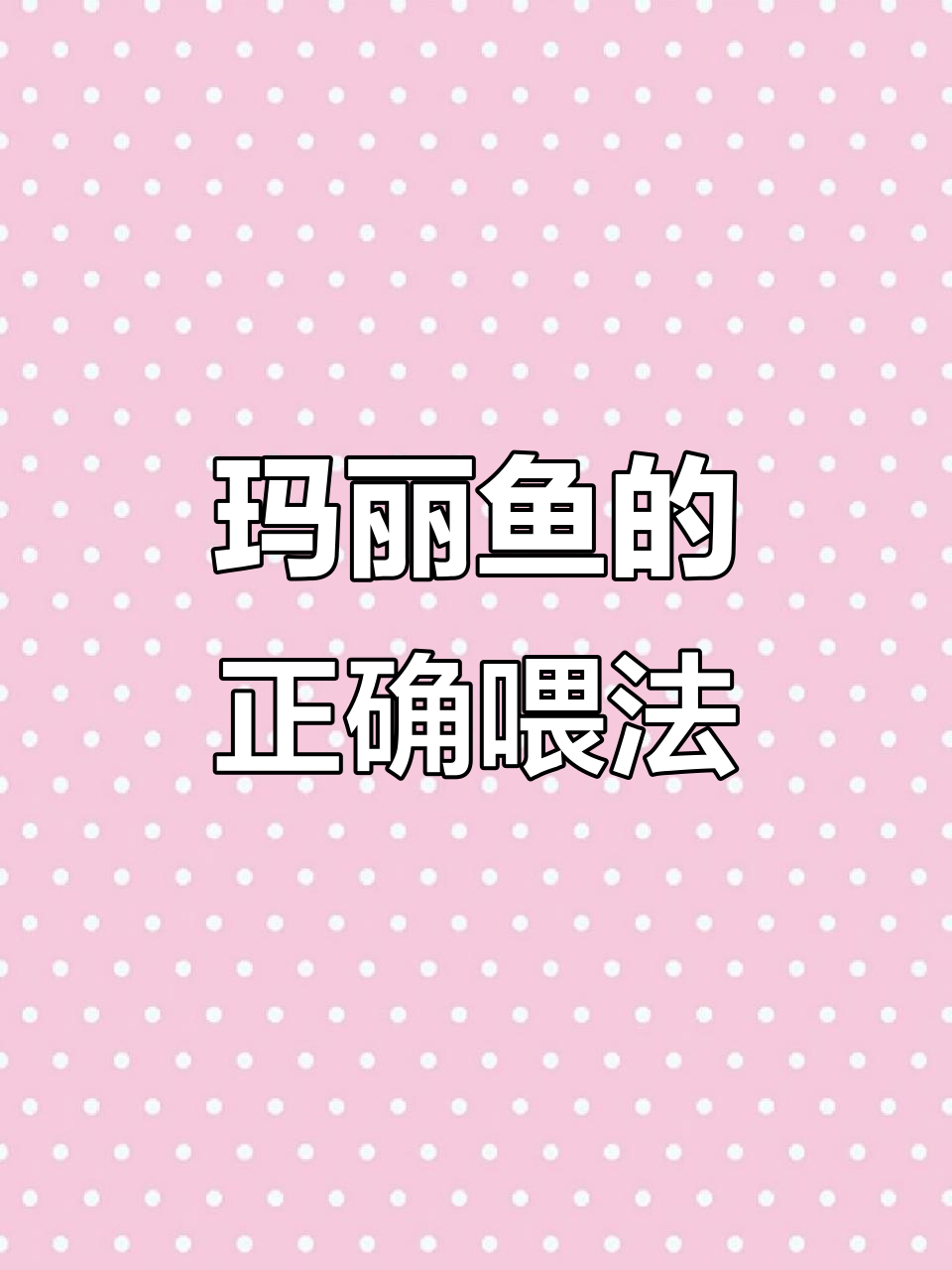 玛丽鱼饲料全攻略:如何科学喂养,让它们更健康