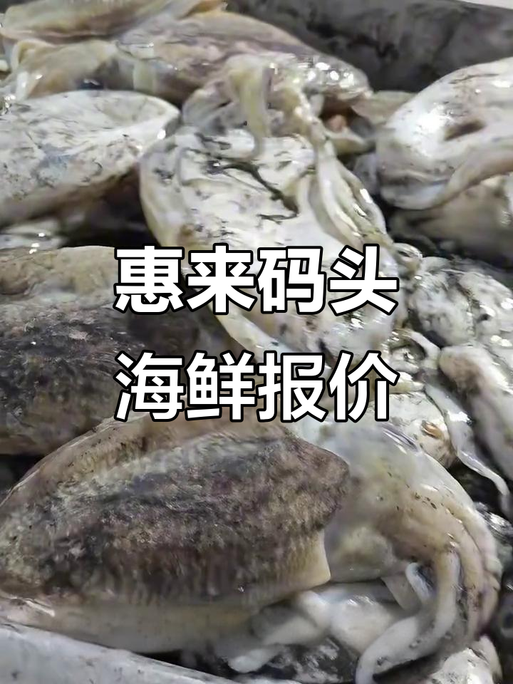 1月广东惠来码头海鲜价格大揭秘,各类海产一应俱全