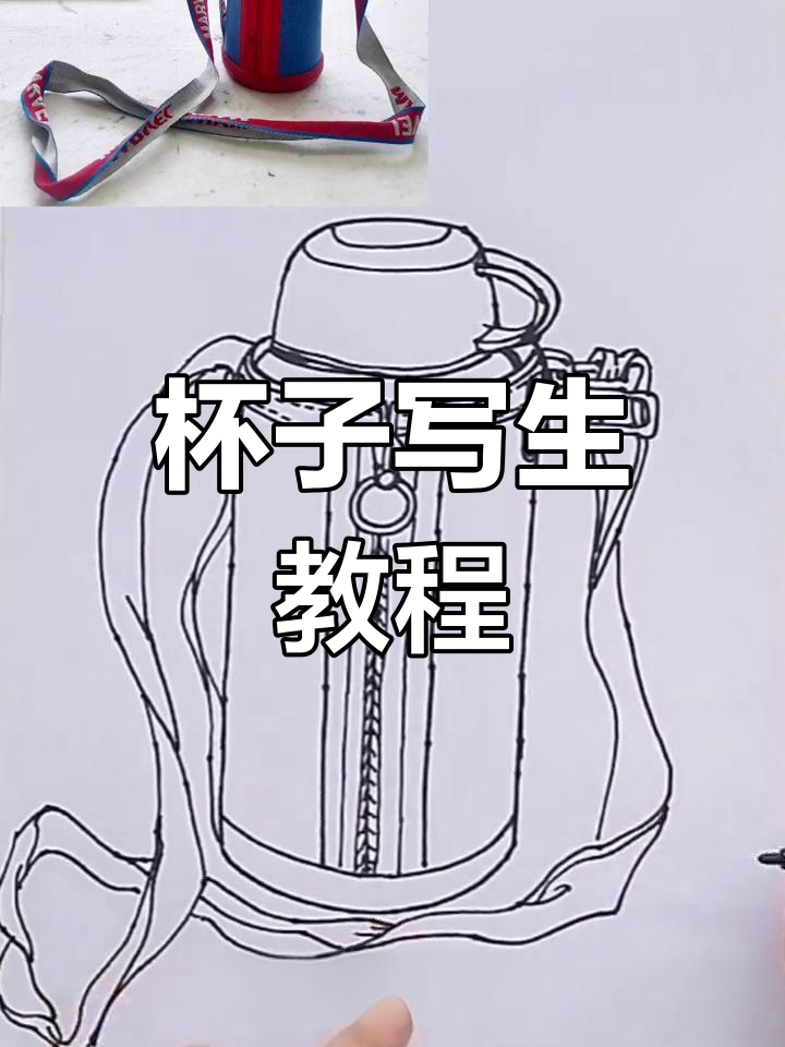 静物杯子写生技巧，慢版线描教学