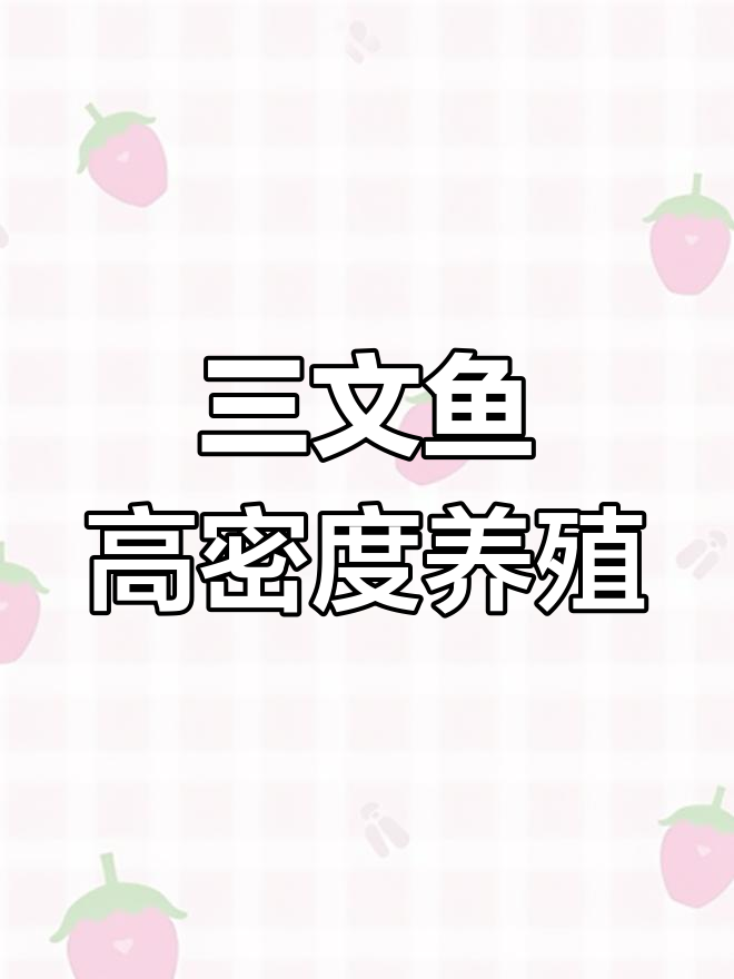 循环水养殖升级,三文鱼与虹鳟鱼的智慧农业新模式
