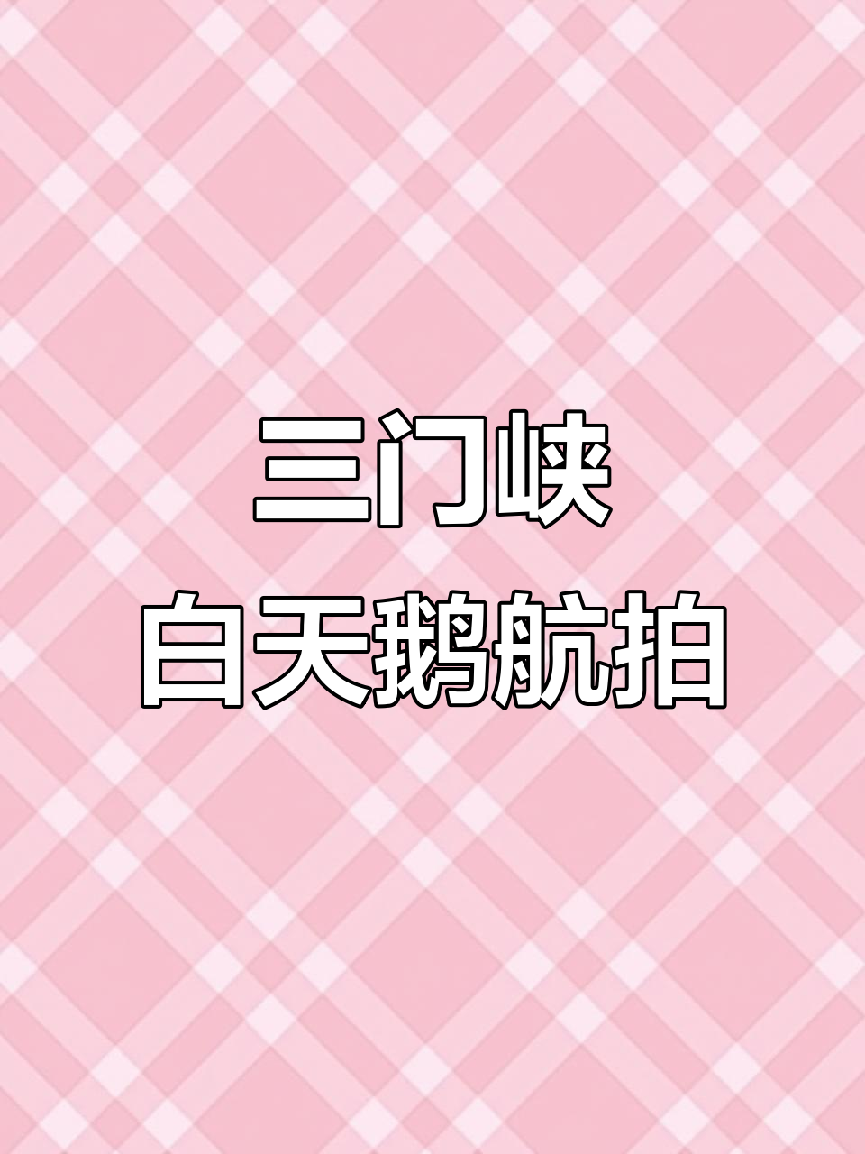 三门峡白天鹅湿地公园航拍,天鹅飞舞美景尽收眼底