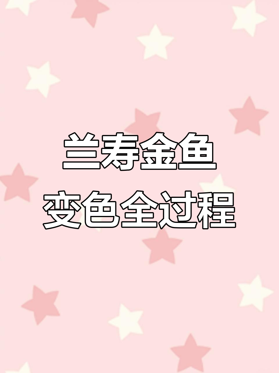 金鱼颜色变化大揭秘：从淡红到艳丽，背后的秘密