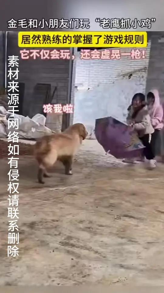 一个特殊版本的“老鹰抓小鸡”把孩子们逗的开怀大笑