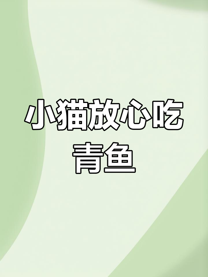 青鱼片让猫咪幸福,肉质鲜嫩无刺