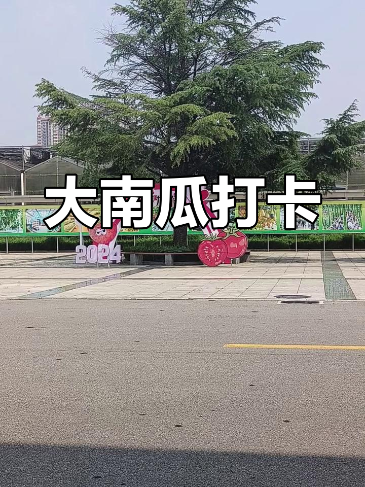 寿光蔬菜博览会:500斤大南瓜亮相,遗憾未开园
