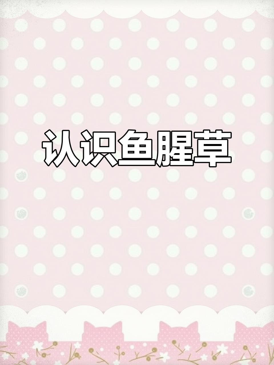 鱼腥草:独特香气与心形叶子的草本植物,你见过吗?
