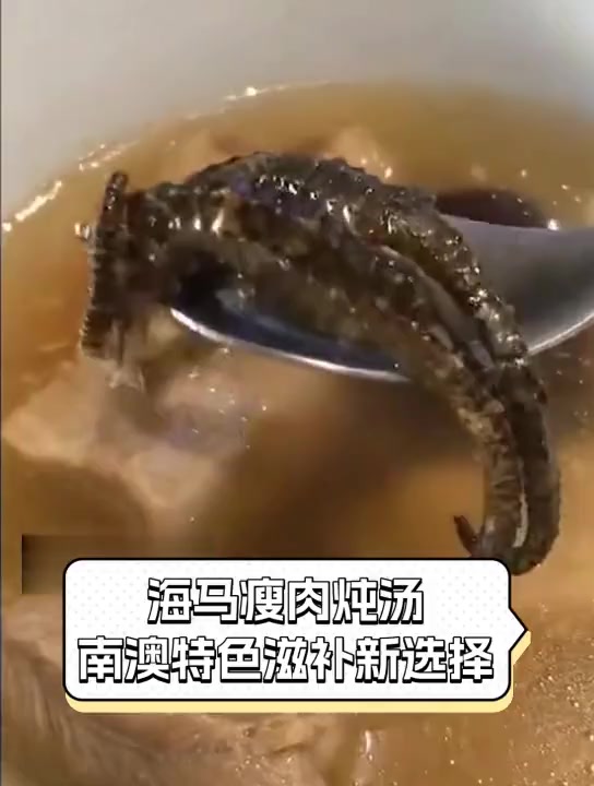 海马瘦肉炖汤,南澳特色滋补新选择