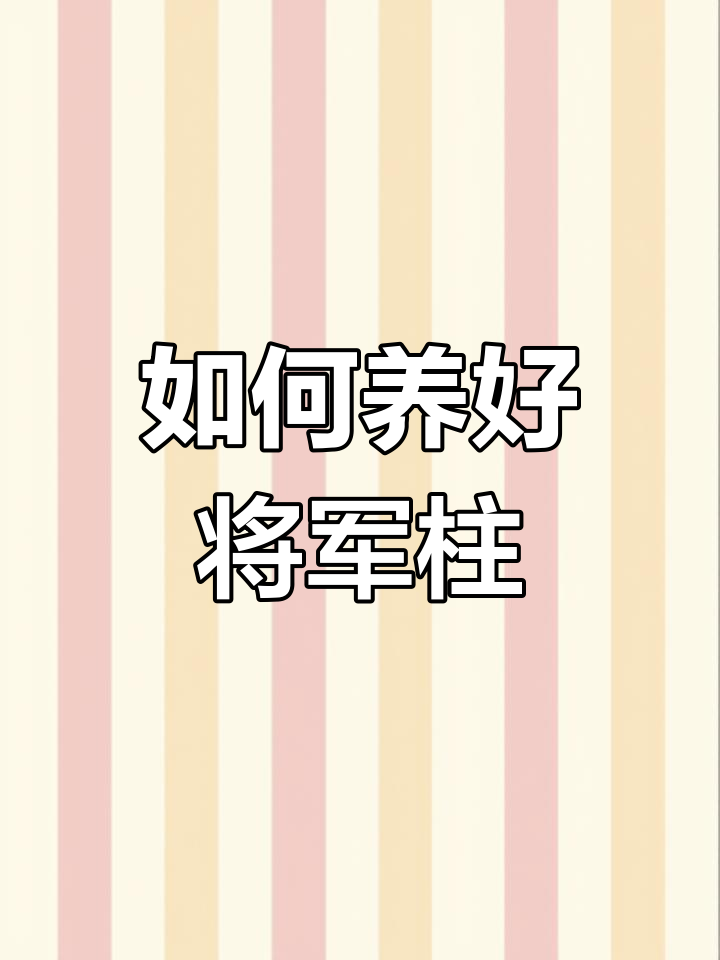 将军柱养护全攻略:光照、水分与施肥技巧