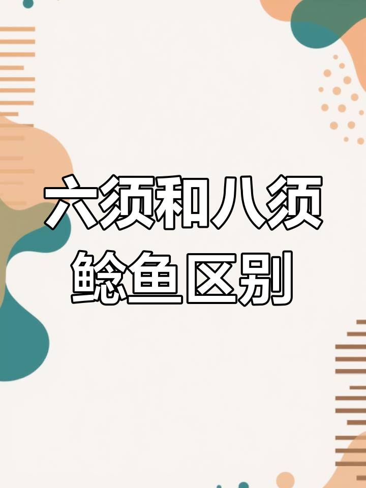 六须鲶鱼与八须鲶鱼的差别,你了解吗?