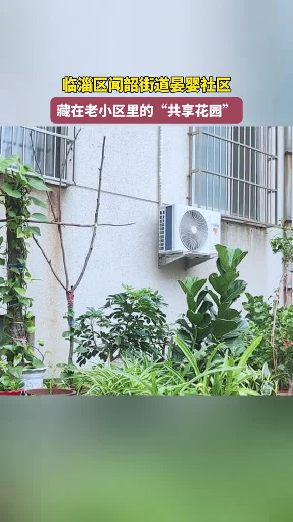 在临淄区闻韶街道晏婴社区一中家属楼里,居民们自发将自家养护的盆花摆放于楼下公共区域,各式花