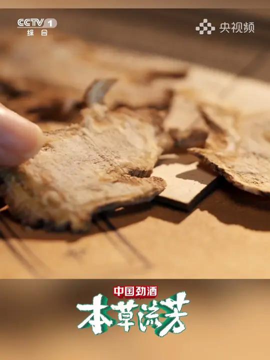 一锅热乎乎的当归炖羊肉,是食补的智慧。中国劲酒基地采用国家标准规范化种植,让当归品质更佳