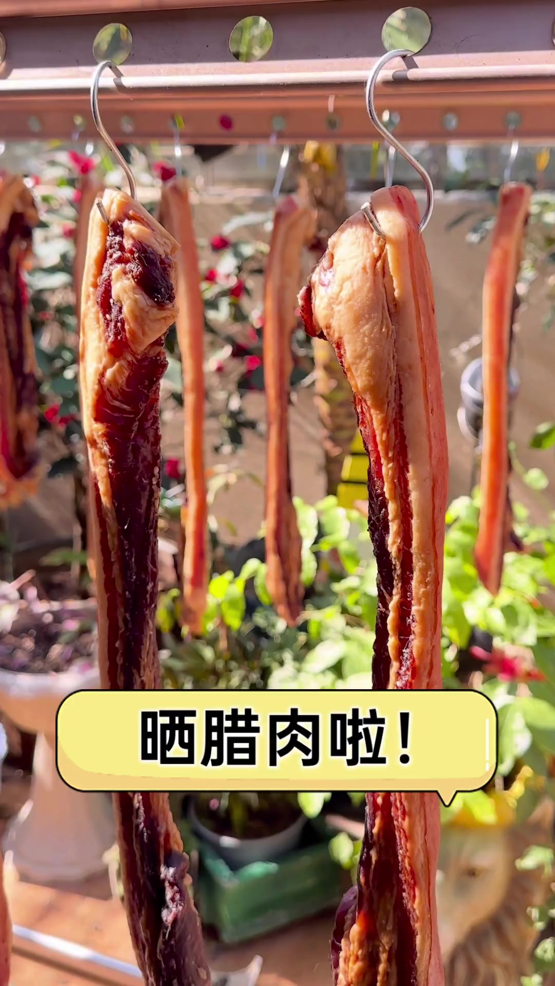 晒腊肉啦!