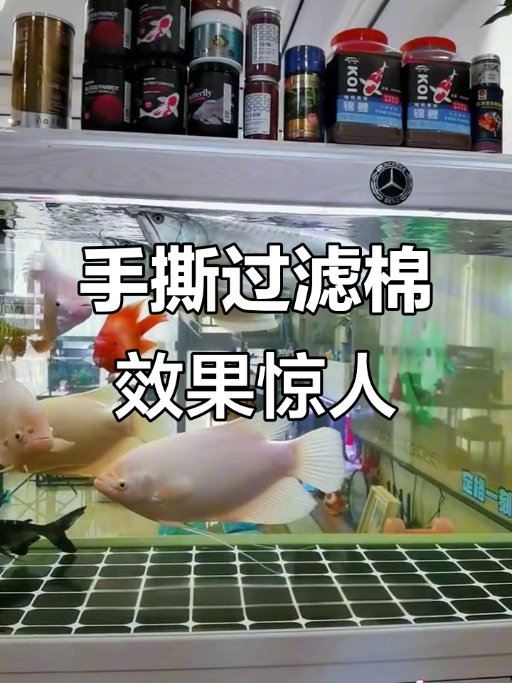 这款手撕羊绒棉让鱼缸水质瞬间提升,打造完美空气缸